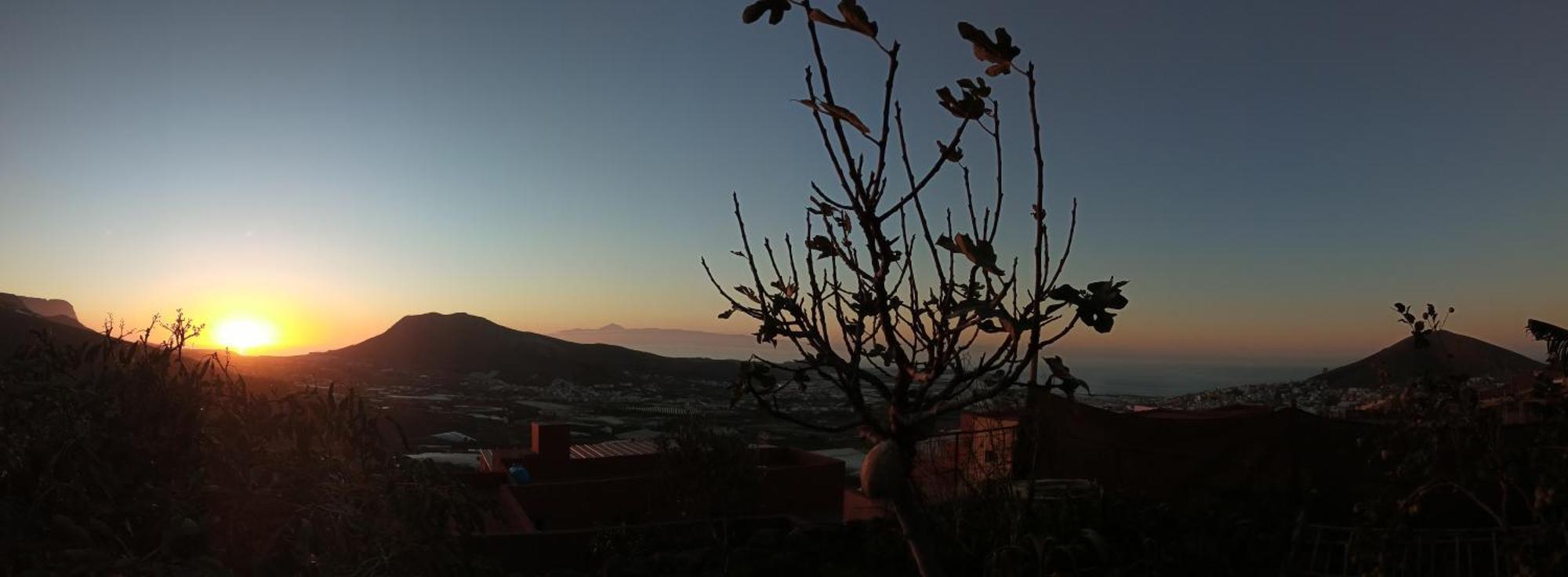 Tonono'S Village Santa Maria de Guia de Gran Canaria Esterno foto