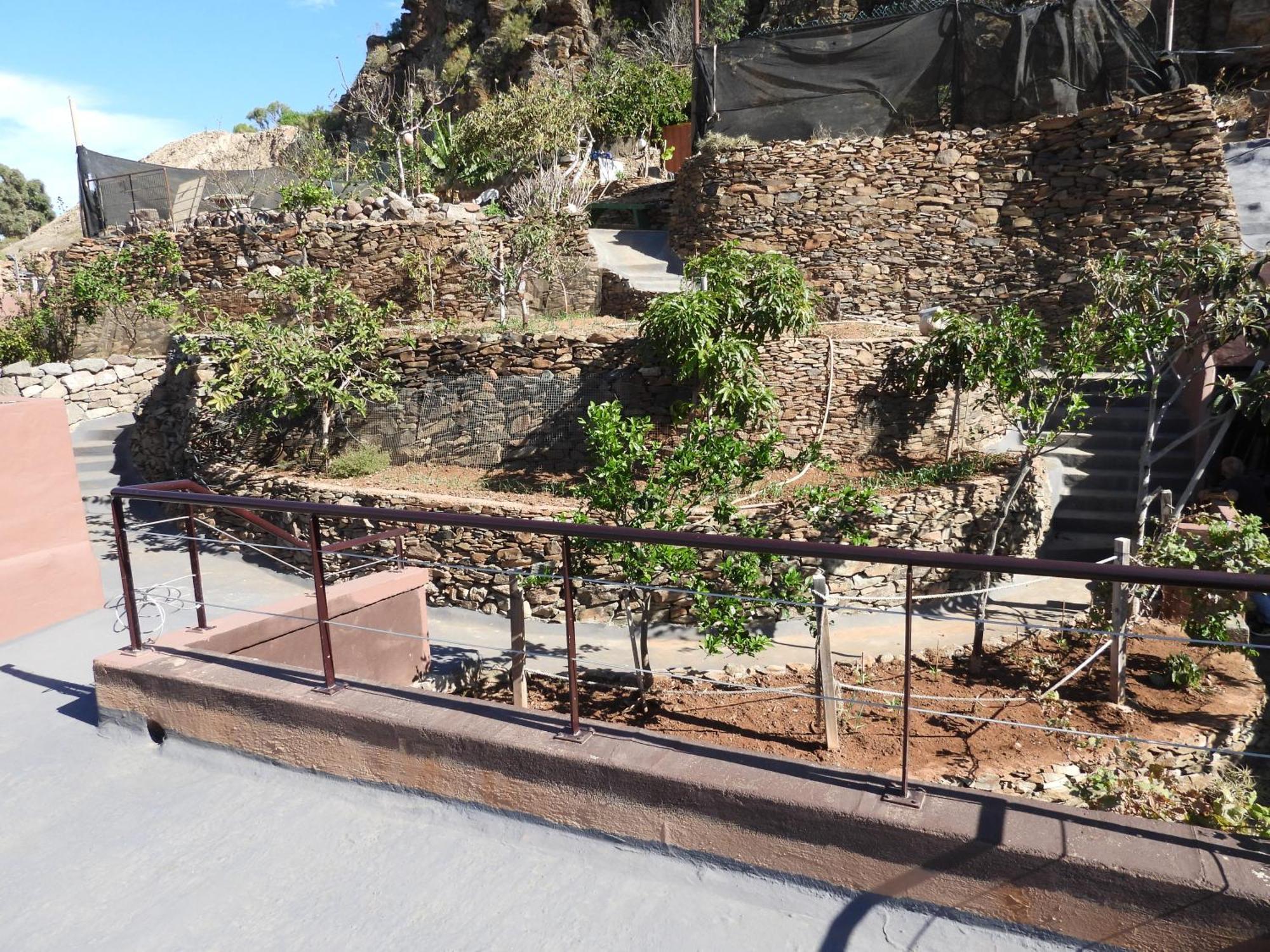 Tonono'S Village Santa Maria de Guia de Gran Canaria Esterno foto